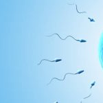 What Does a Detailed Breakdown of IVF Costs Look Like?