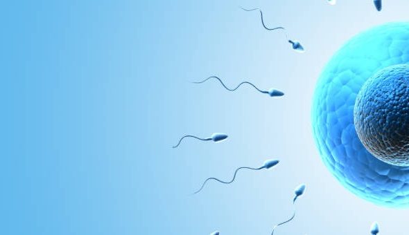 What Does a Detailed Breakdown of IVF Costs Look Like?
