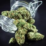 Shop Premium Cannabis With Wiet Online Kopen Using Trusted Information