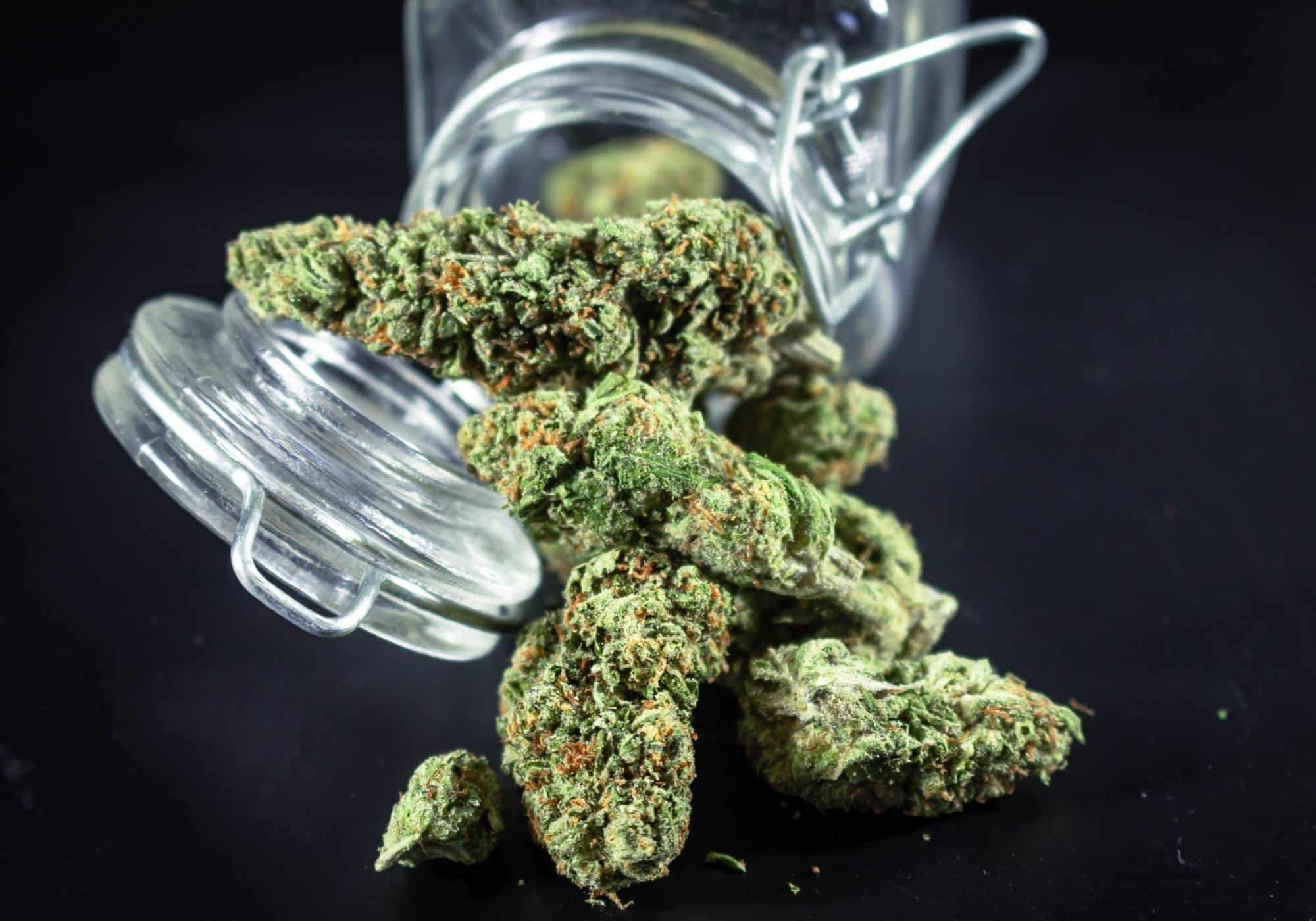 Shop Premium Cannabis With Wiet Online Kopen Using Trusted Information