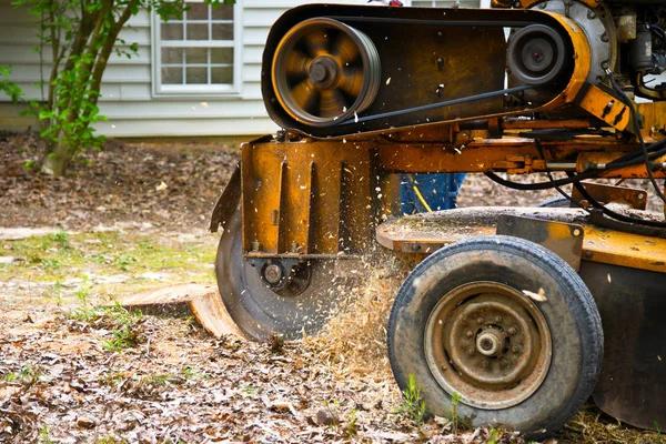 Tree Removal Service Mobile for Fast Storm Cleanup