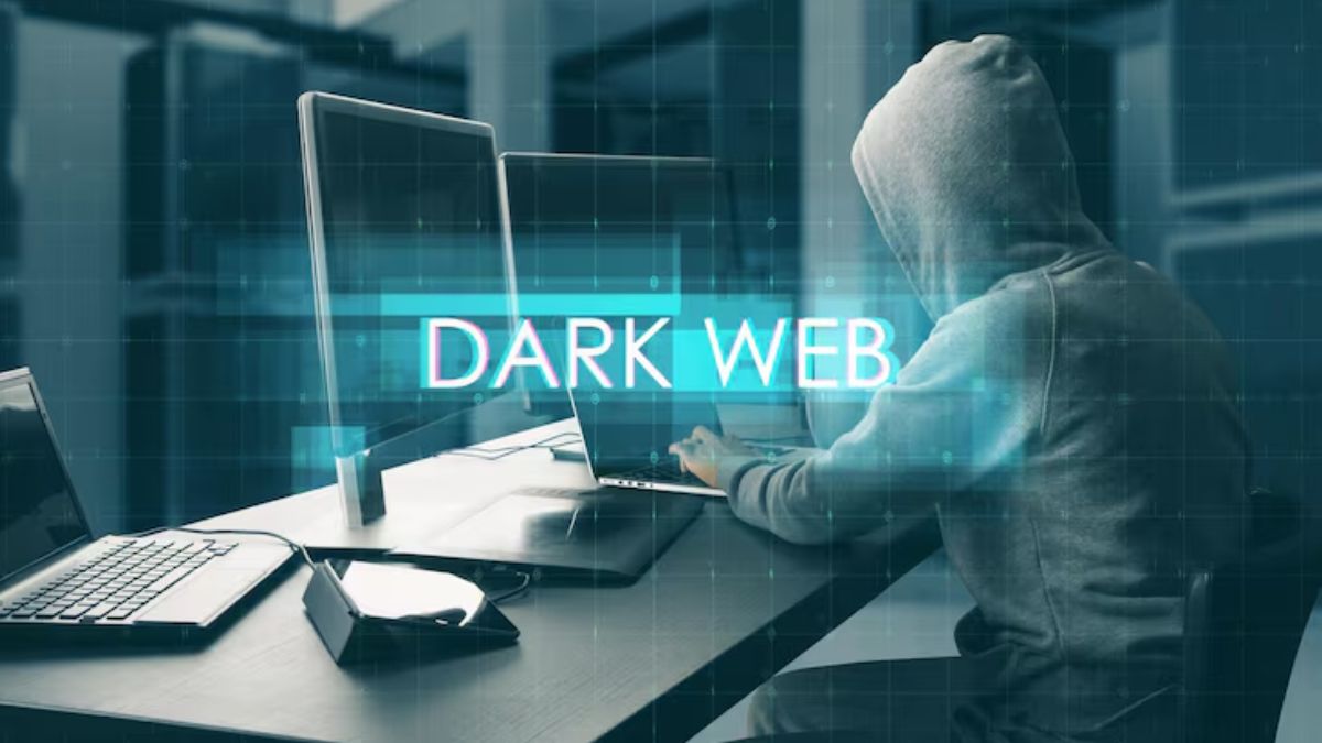 Navigate Darkweb Performance Data with Live Tor Monitoring