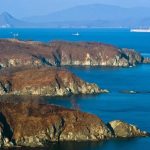 Largest Trucking Companies in North America Transforming Long-Haul Transportation