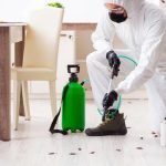 Complete Pest Management Solutions from Patriot Pest Control