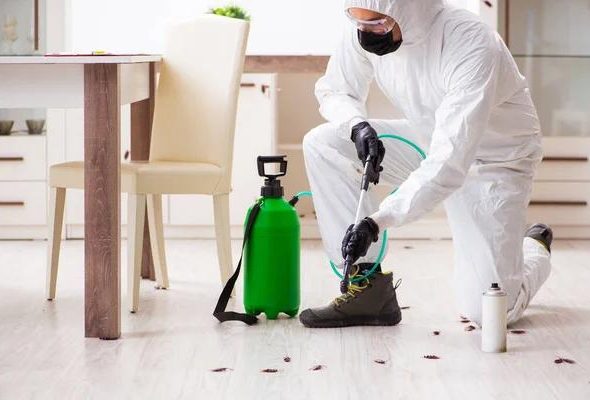 Complete Pest Management Solutions from Patriot Pest Control